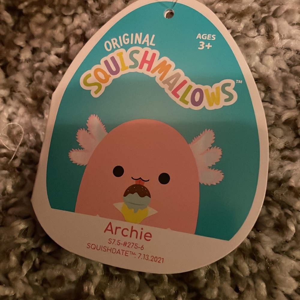 Archie the squishmallows - Picture 4 of 5